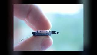 PiezoWave  Miniature piezo motor [upl. by Idyh189]