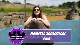 Marwell Zoological Park Winchester Hampshire [upl. by Marena173]