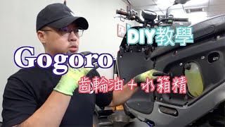 gogoro系列 齒輪油 水箱精更換教學！！！！ ＃gogoro [upl. by Ibib205]