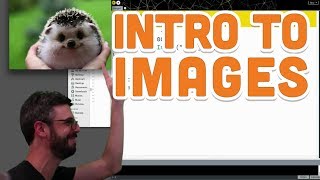 101 Intro to Images  Processing Tutorial [upl. by Aseeram224]