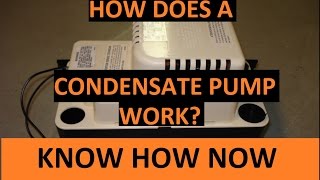 How a Condensate Pump Works [upl. by Nyleak]