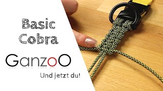 Basic Cobra Knoten  Paracord Halsband Hund [upl. by Ailak]