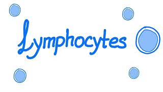 Lymphocytes  Your Specialized Immunity  White Blood Cells [upl. by Eran737]