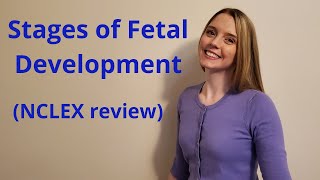 THE STAGES OF FETAL DEVELOPMENT  NCLEX REVIEW [upl. by Buffum262]