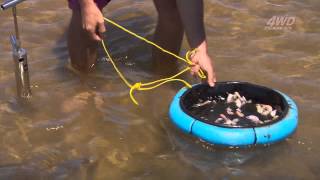 How to catch whiting with yabbies [upl. by Drake]