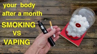 How Smoking vs Vaping Affects Your Lungs ● You Must See This [upl. by Melisent]