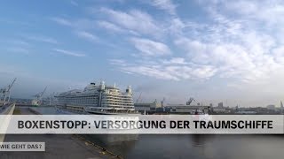 Versorgung und Abfertigung der TraumschiffeKreuzfahrtschiffe im Hafen Hamburg  NDR Doku [upl. by Lane]