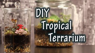 DIY Tutorial On How To Make A Terrarium For Plants In A Jar [upl. by Edan181]