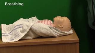 Neonatal Resuscitation  Demonstration [upl. by Halladba]