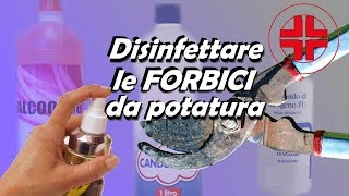 DISINFETTARE FORBICI DA POTATURA [upl. by Knarf]