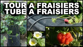 TOUR A FRAISIERS [upl. by Ainahs502]