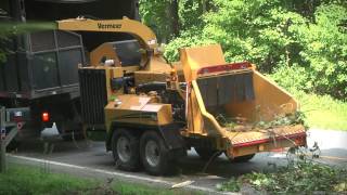 AX19 Vermeer Brush Chipper  Vermeer Tree Care Equipment [upl. by Maryann235]