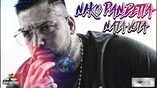 NIKO PANDETTA – NATA VOTA Remix [upl. by Elburr]