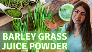 Barley Juice Benefits amp Barley Grass Juice Powder Review The Best Green Juice Powder [upl. by Pepita136]