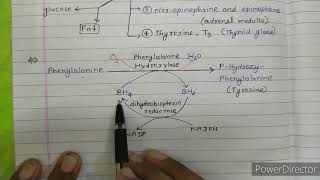 Receptor Tyrosine Kinase  MAPK Pathway [upl. by Annia228]