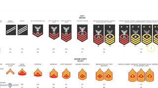 US Military Insignia of Rank [upl. by Eibloc]