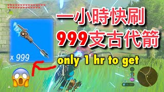 【薩爾達傳說  曠野之息】【最新攻略】一小時便可獲得999支古代箭 [upl. by Tubb]