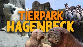 Tierpark Hagenbeck in Hamburg  ZooEindruck [upl. by Azpurua]