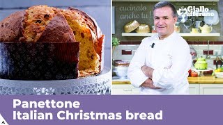 PANETTONE Italian Christmas bread traditional recipe [upl. by Mayrim790]