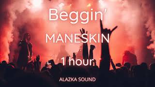 Beggin Måneskin 1 Hour [upl. by Ecnesse]