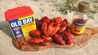 Catch n Cook SPICY Crawfish on the Riverside [upl. by Eylrac]