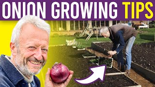 Onion 101 A Beginners Guide to Growing Onions and Spring Onions from Seed for Large Harvests [upl. by Ydisahc]