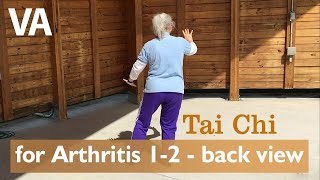 Tai Chi 10 Form 太極拳10式 Taijiquan 10Form [upl. by Hollyanne]