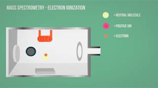 MS  Mass Spectrometry  Electron Ionization Animation [upl. by Latea]