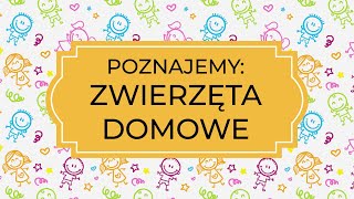 Edukacja zdalna  Poznajemy ZWIERZĘTA DOMOWE [upl. by Amlez]