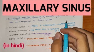 Paranasal Sinuses  2  Maxillary Sinus [upl. by Nahtam]