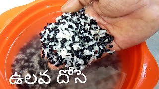 ఉలవ దోసెHorse Gram DosaHuruli Kalu DosaUlava AttuKollu Dosa RecipeHorsegram Dosa Recipe Telugu [upl. by Yesnnyl597]