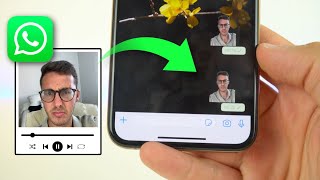 Crear STICKERS ANIMADOS en WhatsApp fácil y sin fondo ✅ [upl. by Handler]