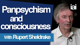 How Panpsychism Can Explain Consciousness  Rupert Sheldrake [upl. by Carver926]