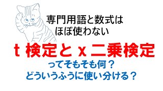 t検定とχ二乗検定ってそもそも何？どういうふうに使い分ける？ [upl. by Asfah]