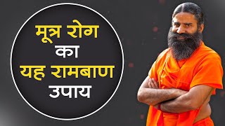 मूत्र रोग Urinary Disease का यह रामबाण उपाय  Swami Ramdev [upl. by Oznofla]