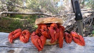 Making a Crawfish Sandwich  Catch n Cook Crawfish [upl. by Aseefan]