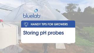 Bluelab Storing pH probes [upl. by Resee736]