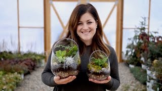 How to Make A Terrarium Full Version  Garden Answer [upl. by See718]