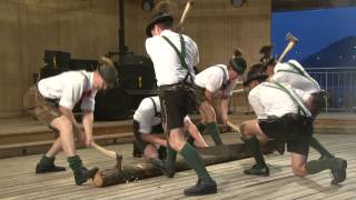 Die lustigen Holzhackerbuam  aus Strobl 2014 [upl. by Hooper]