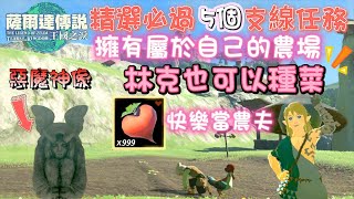 薩爾達傳說  王國之淚  精選必過5個支線任務  擁有屬於自己的農場  治癒瘴氣食物  惡魔神像  天空的白刃劍  林克可以快樂享受悠閒農場生活  【Somi 王國之淚】 [upl. by Ashia982]