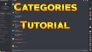 How To Add Categories To A Discord Server [upl. by Hull]