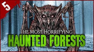 5 Most TERRIFYING Haunted Forests  Darkness Prevails [upl. by Iccir]