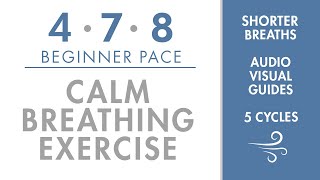 478 Calm Breathing Exercise  Beginner Pace  Short amp Easy Breaths  Simple Pranayama Exercise [upl. by Sanfo]