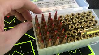 130gr ELD  Reloader 16  65 Creedmoor Load Test [upl. by Pitarys741]