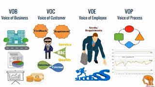 quotDefinition Seriesquot Voice of Customer Voice of Process Voice of Business and Voice of employee [upl. by Nelak]