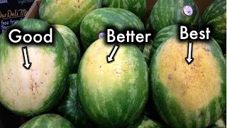 How To Pick The Sweetest Watermelon Every Single Time [upl. by Viva]