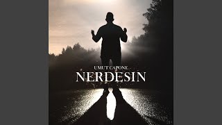 Nerdesin [upl. by Aseen]