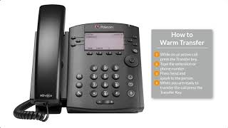 Polycom VVX 311 [upl. by Eidnas]