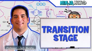 SEROTONIN PATHWAY of TRYPTOPHAN metabolism part 1 [upl. by Areval931]