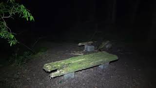 Disturbing Real Ghost Hunt volume boosted quotAokigaharaquot The Japan Suicide Forest [upl. by Fraser717]